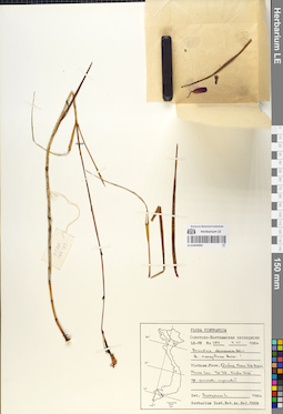 LE 01054995
