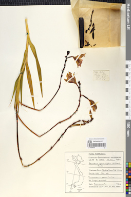 LE 01055015
