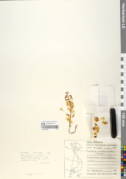 LE 01055043