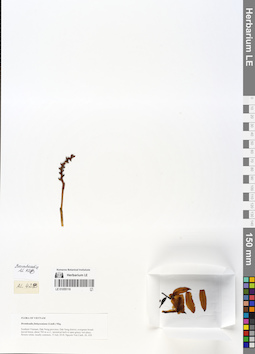 LE 01055116