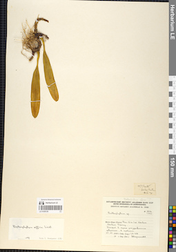 LE 01055129