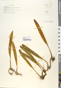 LE 01055134