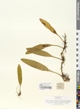 LE 01055205