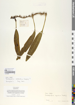LE 01055208