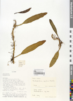 LE 01055212