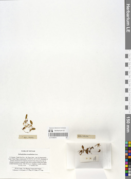 LE 01055216