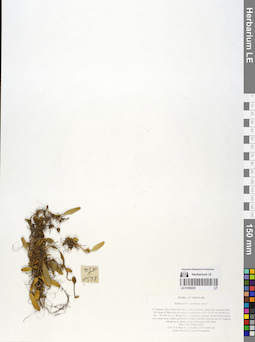 LE 01055220