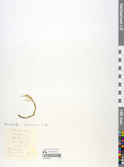 LE 01055268