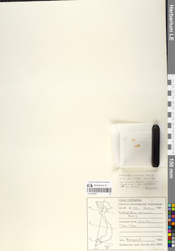 LE 01055287