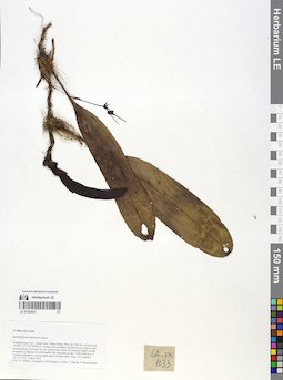 LE 01055307