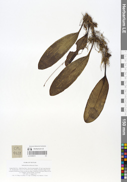 LE 01055313