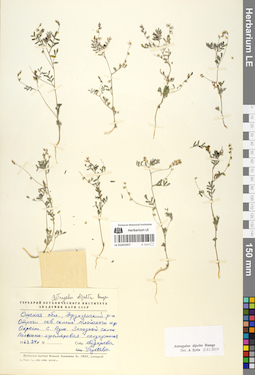 LE 01052457
