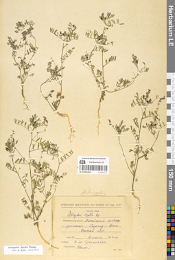 LE 01052458