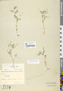 LE 01052459