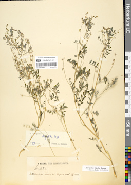 LE 01052462
