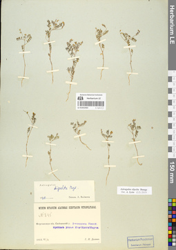 LE 01052463