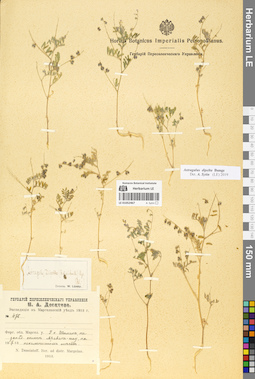LE 01052467