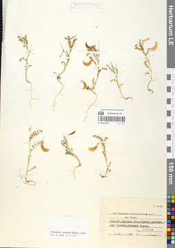 LE 01052469