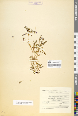LE 01052471