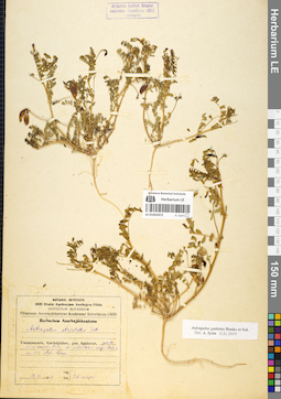 LE 01052472