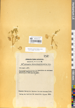 LE 01052477