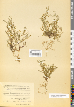 LE 01052478