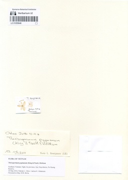 LE 01055646