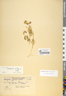 LE 01052522