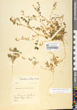 LE 01052527
