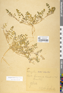 LE 01052530