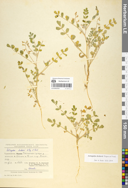 LE 01052532
