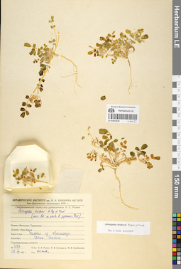 LE 01052535
