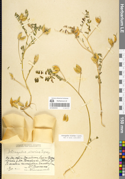 LE 01052555