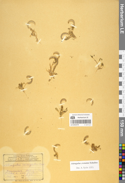 LE 01052570