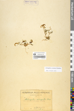 LE 01052571