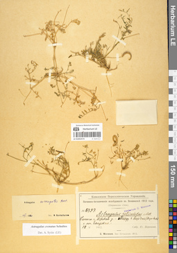 LE 01052573