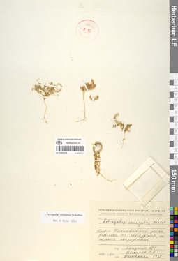 LE 01052576