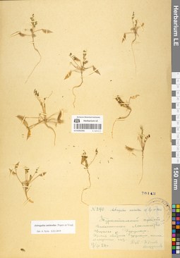 LE 01052581