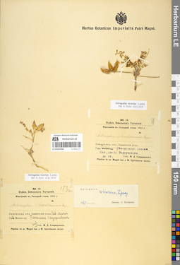 LE 01052584