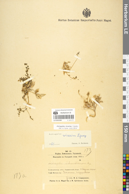 LE 01052585
