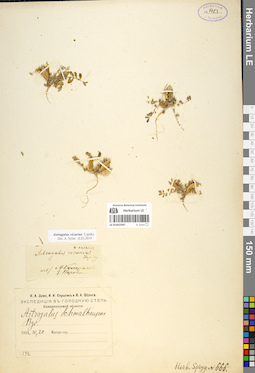 LE 01052587