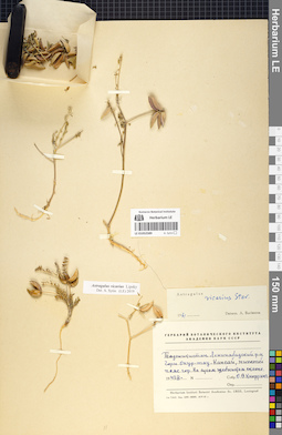 LE 01052589