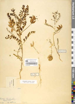 LE 01052597