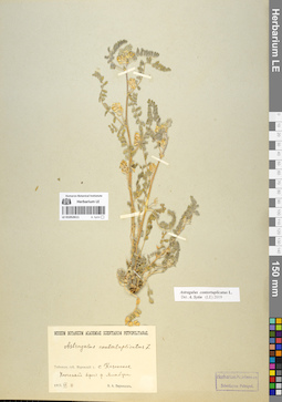 LE 01052611