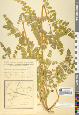 LE 01052612