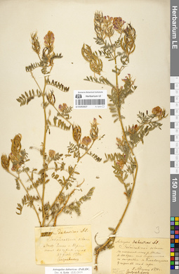 LE 01052627
