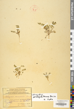 LE 01025926