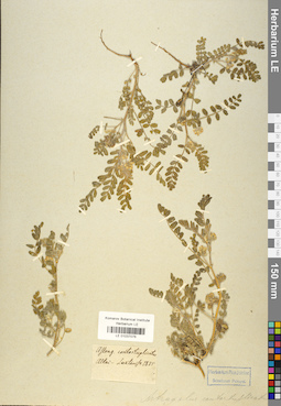 LE 01037076
