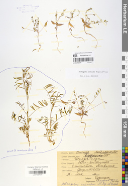 LE 01037079