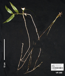 LE 01058107